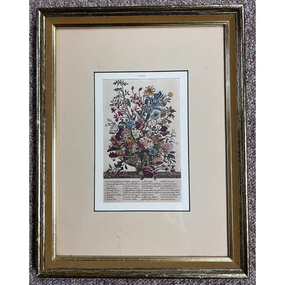 Vintage Print of Pieter Casteels/Furber "June" Flower Bouquet